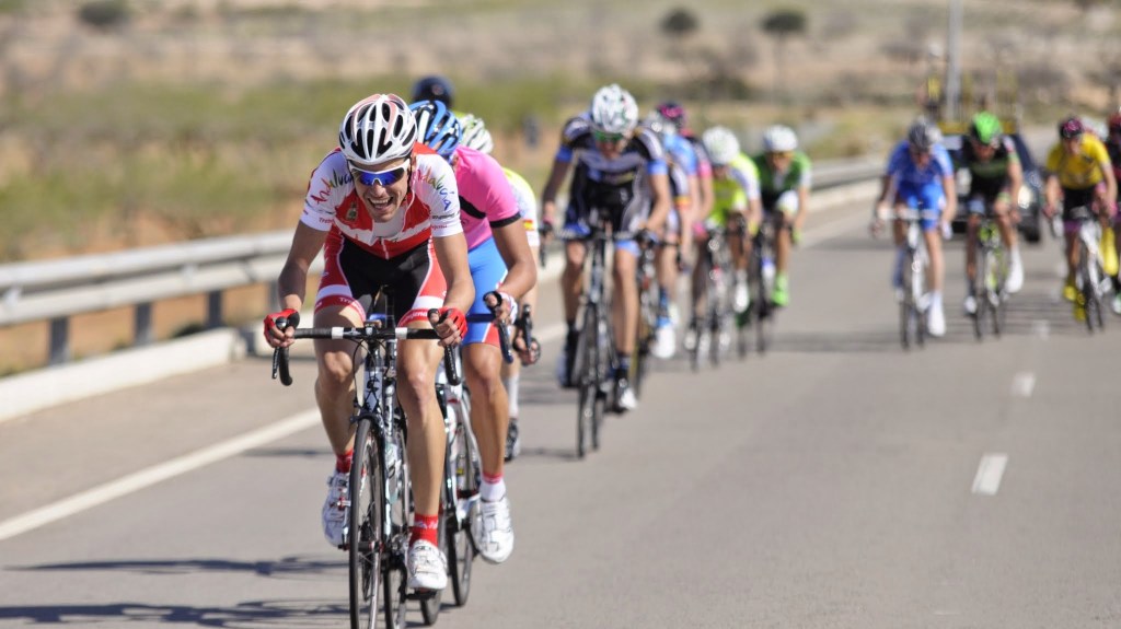 Palo de Edu García (Andalucía)